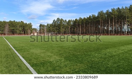 The stadium is located among pine trees and surrounded by a fence. The soccer field has an artificial surface, a goal with a net and markings. Sunny spring weather and blue sky with clouds