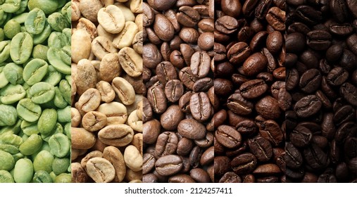Stages Of Roasting Coffee Beans, Collage. Banner Design