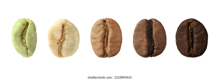 Stages Of Roasting Coffee Beans On White Background, Collage. Banner Design