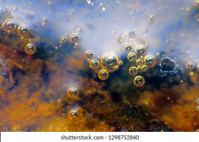 Stagnant Water Body And Its Surface. Rotten Algae On Bottom And Bubbles Of Marsh Gas, One Bubble Burst. Window Into World Of Ultra Macro. An Abstract Concept Of Stagnating Business, Business Went Bust