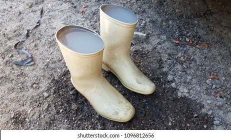 Stagnant Water In Dirty Cream Color Plastic Boots Woman Blue Collar Worker Left On Wet Ground. Farmer Shoes Concept.