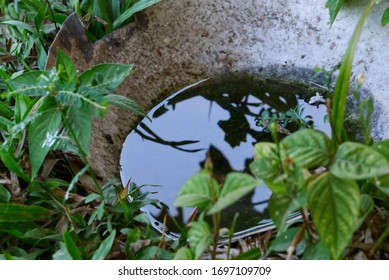 The stagnant water in an inactive old container. Clean water is a place of spawn of mosquito.It can be a breeding ground for mosquitoes which carry dengue fever and filariasis.