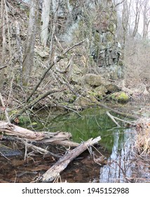 Stagnant Water Swamp With Algae Growth