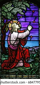 Stained Glass Jesus In Garden Of Gethsemane