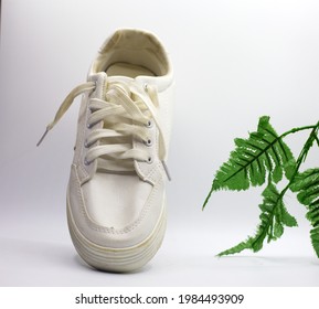 Stained White Shoe And Leave On White Background