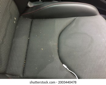 Staining And Liquid Damage To Brand New Car Upholstery Requiring A Deep Cleaning Method Located Wigan Manchester England 2019