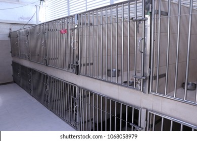 The stainless cages/kennels for pets at Pet clinic/Veterinary clinic.