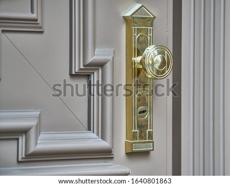 stainless door knob or handle on wooden door in beautiful lighting.
