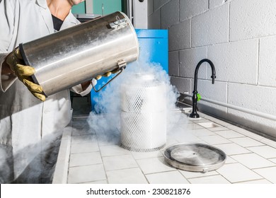 A stainless steel dewar flask with liquid nitrogen - Powered by Shutterstock