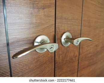 Stainless Steel Door Handle Lever With Wooden Door