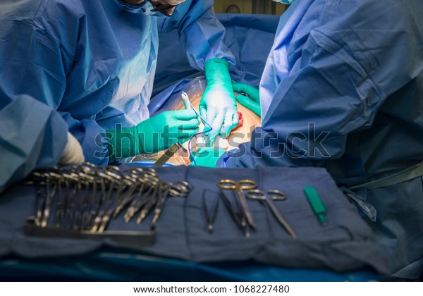 Stainless steel surgical instruments, displayed\
in a blue fabric covered table. Multiple clamps, forceps and\
retractors, used in a c section surgery.\

