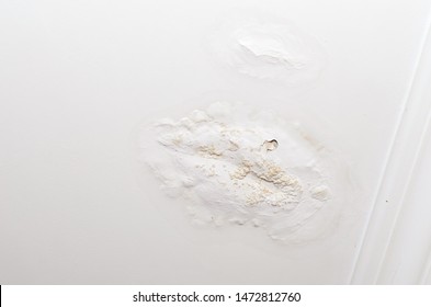 Imagenes Fotos De Stock Y Vectores Sobre Ceiling Damp Shutterstock