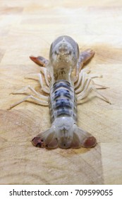 167 Shrimp molting Images, Stock Photos & Vectors | Shutterstock