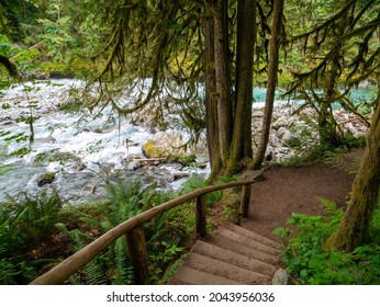 Stair Rail On The Nooksack River Trail