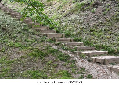 Staircase in the forest