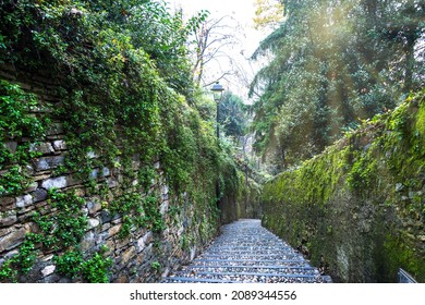 A staircase leading downward, surrounded by old stone walls covered with moss and ivy, with rays of sun shining through the foliage of the trees.