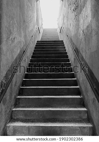 Similar – Image, Stock Photo Steps² Black & white photo