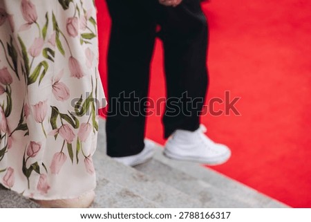 Staircase stairs with red carpet, ropes and golden barriers, luxury party entrance decorations, cinema premiere film festival event award gala, opening ceremony, wealthy rich guests arriving on steps