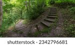 Staircase, steps in the forest, footpath between trees down into the valley. trees and bushes stands on overgrown rocks in fairytale land. recreational walk to beautiful magical  illuminated places