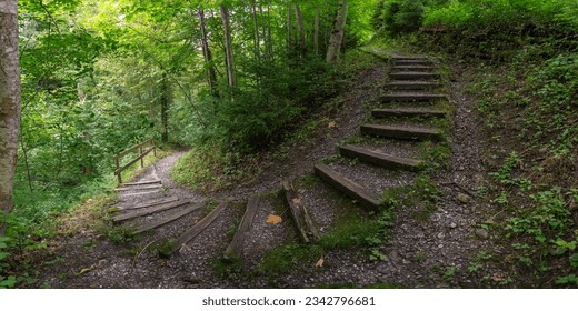 Staircase, steps in the forest, footpath between trees down into the valley. trees and bushes stands on overgrown rocks in fairytale land. recreational walk to beautiful magical  illuminated places