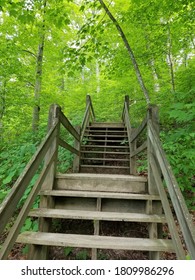 Stairs In Brown County State Park