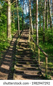 Stairs in the forest around the Seskines Os (Seskines Ozas), glacial period  gravel ridge in Vilnius, Lithuania.