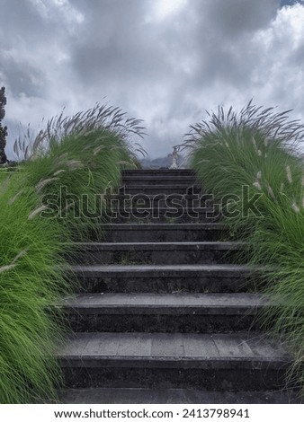 the stairs of a garden with green weeds on the edge