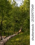 Stairs leading to a wooden suspension bridge over a forest river. Hiking trail in a forest area. Traveling and hiking in the forest. Ecological tourism and outdoor activities. Summer landscape.