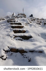 Stairs up to the Mirador la Gargallosa viewpoint, in Gisclareny, after a winter snowfall (Berguedà, Catalonia, Spain, Pyrenees)