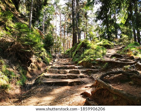 Stairs on the nature trail on the dolomites. Trentino Alto Adige. Naturalistic excursion. Magical landscape. Relaxing atmosphere. Unspoiled nature. Natural reserve. Summer holidays.