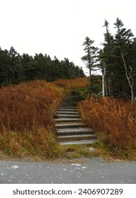 Stairs on a Vermont mountainside