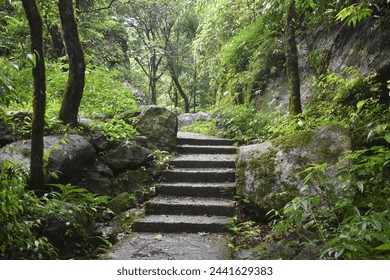 Stairs passing through a hill in Meghalaya. Hill tribal people uses them for regular activities. - Powered by Shutterstock