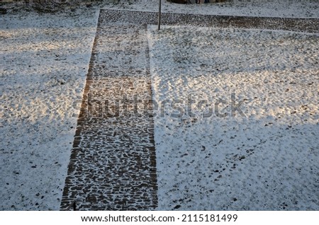 Image, Stock Photo Traceless Snow Leaf Tree