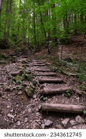 Stairs, steps in the forest, footpath between trees up from the valley. Trees and bushes stand on overgrown rocks in fairyland. Leisure walk to beautiful magically lit places
