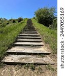 Stairs to the top of a mound in the Moundville Archaeological Park