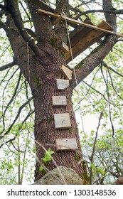 Stairs To A Treehouse For Kids. Wooden Stairs On A Tree. 