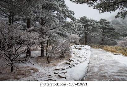 The stairs walkway is cover of snow at the Huangshan mountain or Yellow mountain, The mountain range in southern Anhui province in east China. UNESCO World Heritage site.