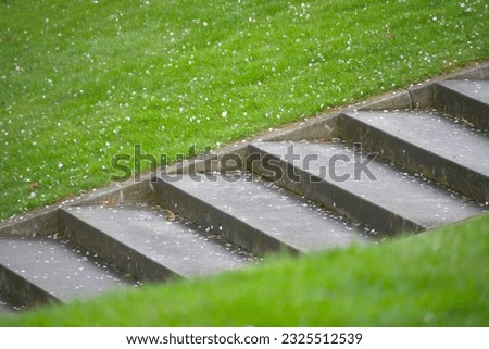 stairway in between green grass