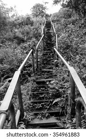 Stairway To Heaven Hike In Oahu