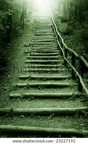 Stairway to heaven in mystic forest