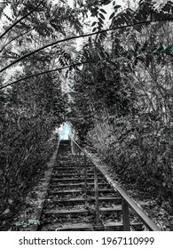 Stairway To Heaven In The Park Of Bercy.