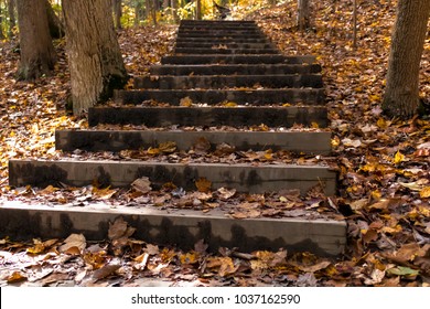 Stairway to Nature