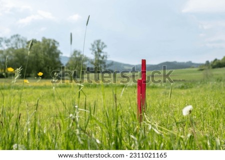 staking out a stake on a building plot before the start of construction, a stake of red color on a meadow where an excavator will come and dig the foundations of a house, wooden buildings
