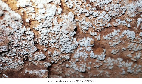 Stalactite CaO Calcium Oxide In Cave 