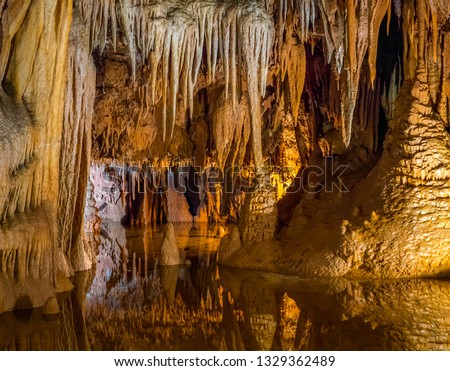 The stalactite cave Jama Baredine in Nova Vas, Porec, Istria, Croatia, Europe - Bilder