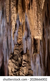a stalactite and a stalagmite growing and being close to meeting to form a column in a cave