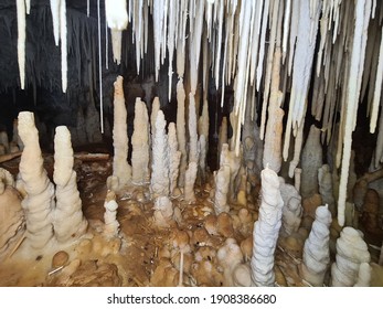 Stalactites and stalagmites in the cave. Mallorca. Spain.