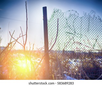 stalk of wheat grass close-up photo silhouette at sunset and sunrise in the summer, nature sun sets yellow background - Powered by Shutterstock