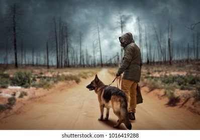 Stalker and dog, survivors after nuclear war