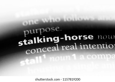 Stalking Horse Word In A Dictionary. Stalking Horse Concept.